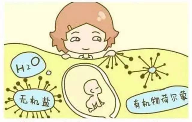 明明是在人的身體里，可為什么要叫“羊水”？！