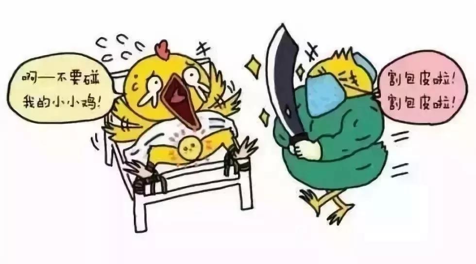 新生兒割包皮還分國籍？