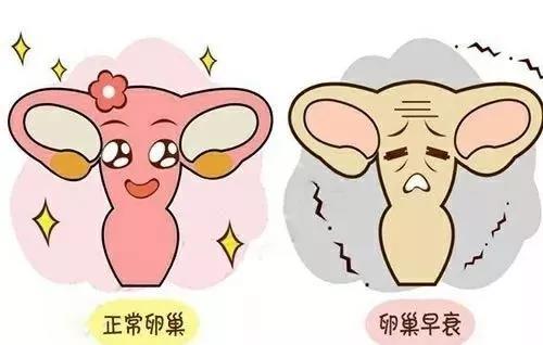 卵巢早衰分三級，請對號入座