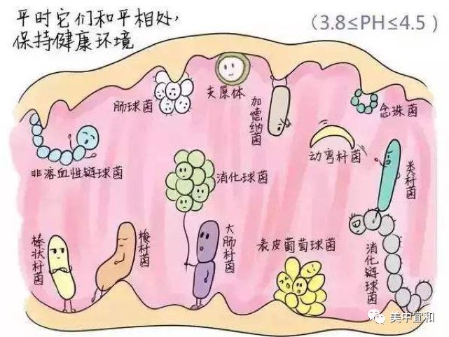 如何識別五花八門的陰道炎？明確病因拒絕復(fù)發(fā)看這里