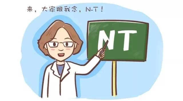 別錯過孕期的次排畸＂NT檢查＂