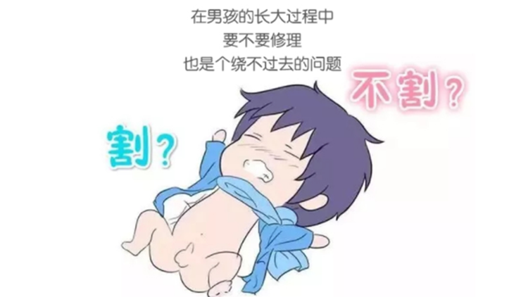 寶寶包皮割不割，專家幫你看