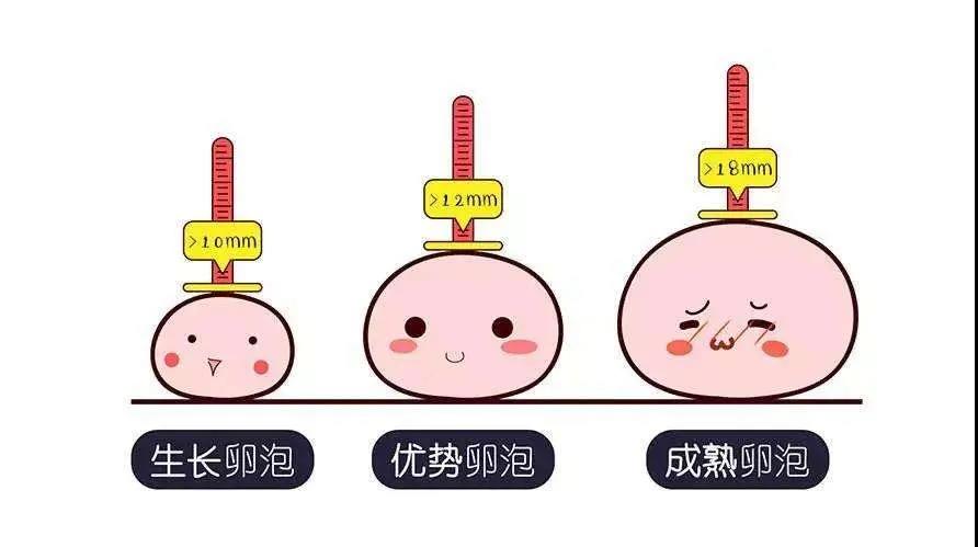為愛「鼓掌」前，做個排卵監測更放心？