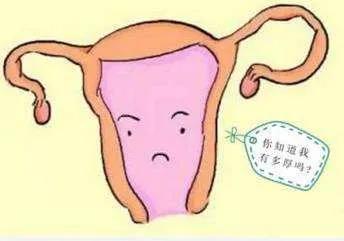 子宮內膜要靠食補？別再交智商稅了