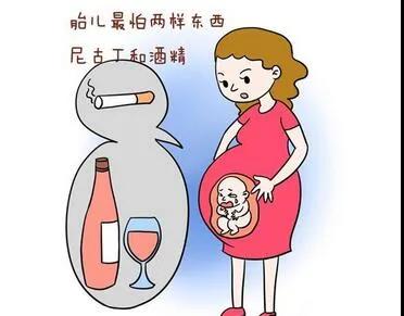 孕早期吐到崩潰！如何度過早孕這段時期？
