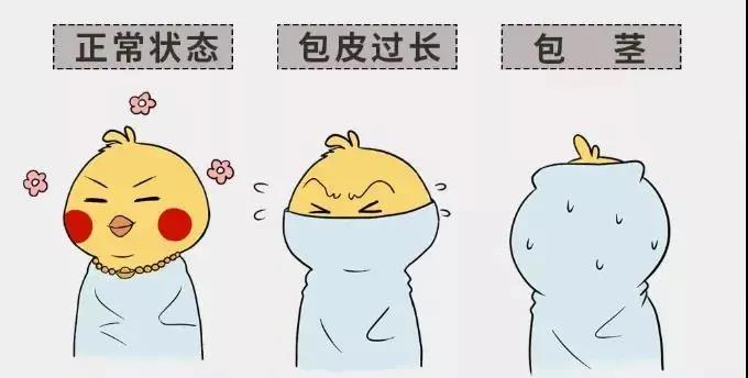 陰道炎、盆腔炎、宮頸癌……可能都跟一塊小小皮有關(guān)