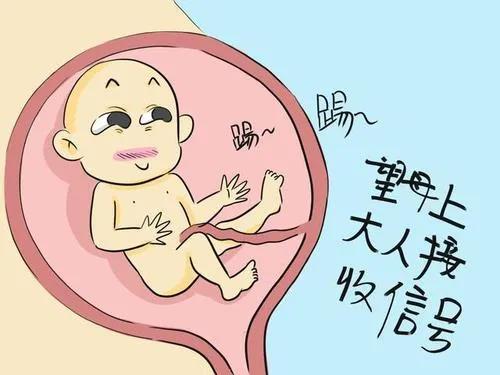 胎動的信號你get到了嗎？